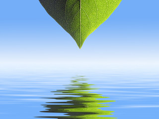 Leaf pattern background