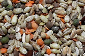 Legumi e cereali misti