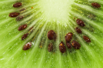 kiwi as background. macro