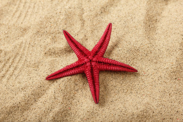 Close-up of a red starfish on beach sand pattern