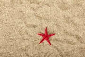 Red Starfish on beach sand pattern. Focused on starfish