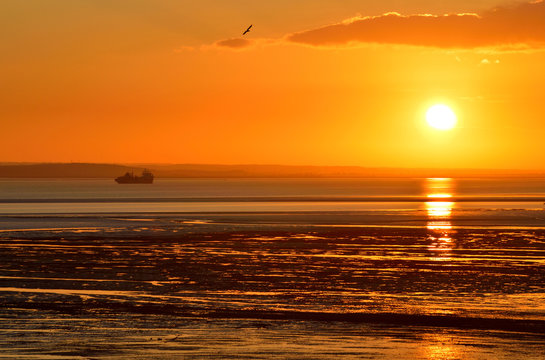 Fototapeta Golden sunset over the river and silhouette of a ship