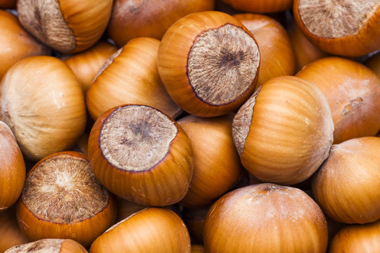 รูปภาพHazel เลือกดูภาพถ่ายสต็อก เวกเตอร์ และวิดีโอ360 886 Adobe Stock รูปภาพHazel เลือกดูภาพถ่ายสต็อก เวกเตอร์ และวิดีโอ360 886 Adobe Stock