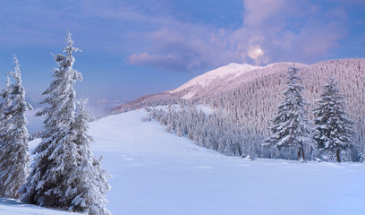 Panorama of the winter landscape in the mountains