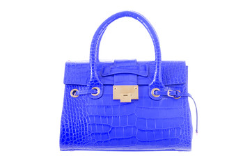 Elegant woman bag isolated on white