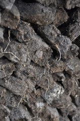 Stack of Peat/Turf Closeup