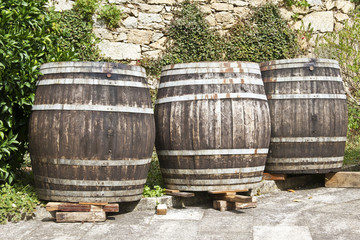 Barrels of wine