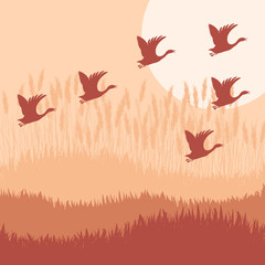 Goose hook flying background autumn vector