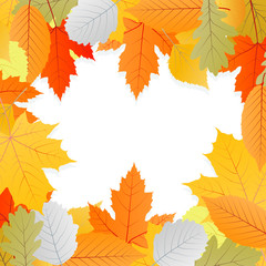 Naklejka na ściany i meble Leaves autumn vector background