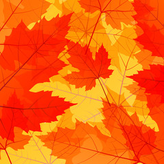 Naklejka na ściany i meble Leaves autumn vector background