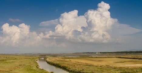 Palude di Diaccia Botrona
