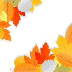 Leaves autumn vector background