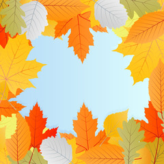 Leaves autumn vector background