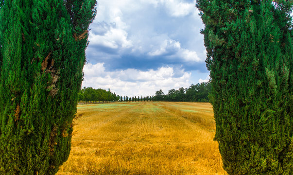 Colori Toscani