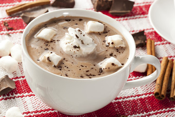 Gourmet Hot Chocolate