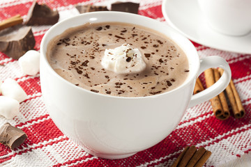 Gourmet Hot Chocolate