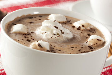Gourmet Hot Chocolate