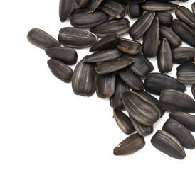 black seeds on a white background. macro