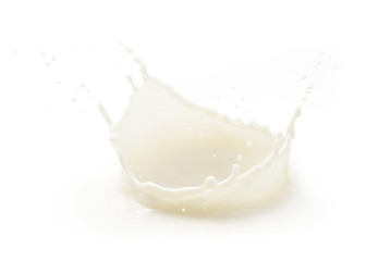 milk splash isolated on white