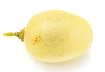 grapes on a white background. macro