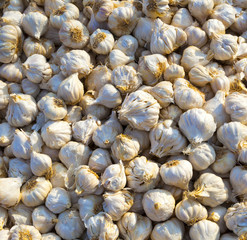 close up of garlic on market stand