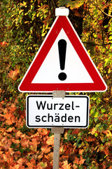 Wurzelschäden