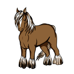 Shire, the draft horse