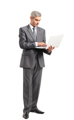 Obraz na płótnie Canvas Smiling handsome businessman working with laptop