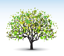 Obraz premium stylized tree, green foliage, summer, vector image