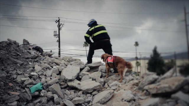 Rescue team, man and dog