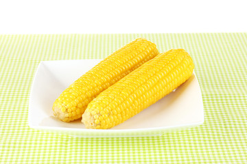 boiled corn on the white plate on a green tablecloth