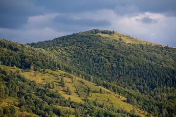 Fototapeta premium Карпаты2