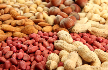 assortment of tasty nuts, close up