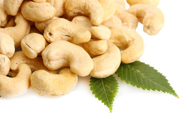 tasty cashew nuts with leaves, isolated on white