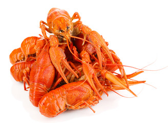 Tasty boiled crayfishes isolated on white