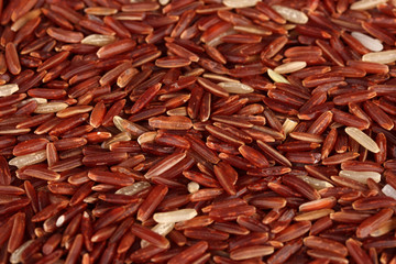Background  red rice