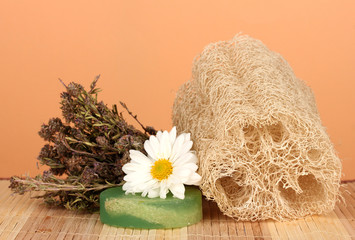 Loofah on color background