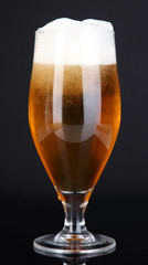 Glass of beer isolated on black