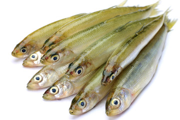 Japanese pond smelt