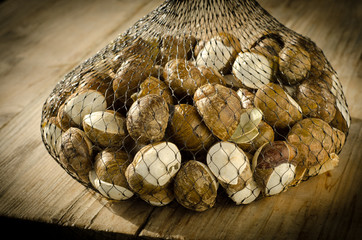 Lumache di terra crude