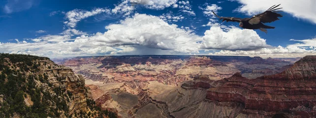 Tableaux ronds sur plexiglas Canyon Parc national du Grand Canyon