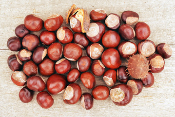Chestnut pile