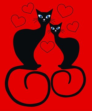 two cats in love