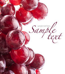 Red grape with water drops, closeup background