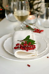 Place setting with red berries