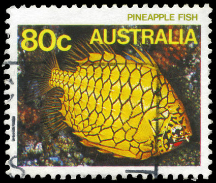 AUSTRALIA - CIRCA 1984 Pineapplefish