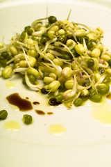 Mung bean seed (Vigna radiata) salad