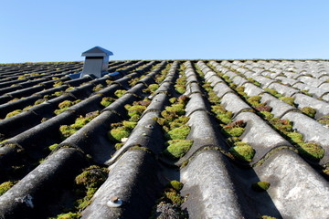 Old and mossy roof