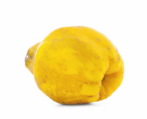 Quince apple on white background