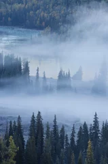 Fotobehang Mistig bos mist over rivier en bos in de herfst